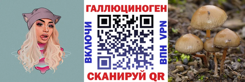 Купить закладки Мурманск Псилоцибиновые грибы ЛСД